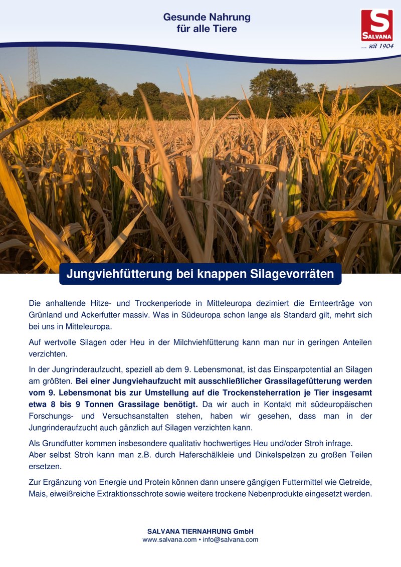 Erste Seite des Salvana-Merkblatts „Jungviehfütterung bei knappen Silagevorräten“