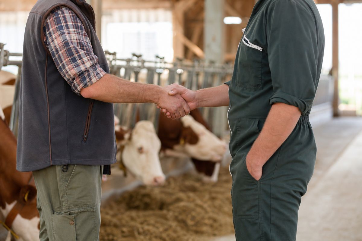 Handschlag zwischen Landwirt und Händler im Stall — ein Wort gilt
